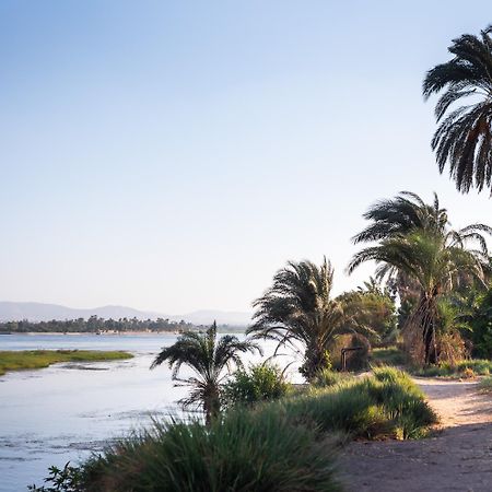 Villa Al Diwan Luxor Eksteriør billede